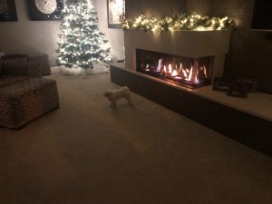 Bellfires Horizon XXL
